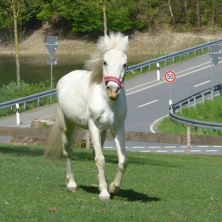 דירה Kotthoff Am Hennesee