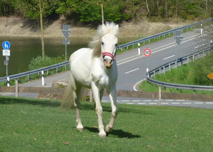 شقة Kotthoff Am Hennesee